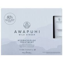 Paul Mitchell Awapuhi Wild Ginger Hydratriplex Treatment - Intenzivní regenerační kúra pro hydrataci and zpevnění vlasů 100ml